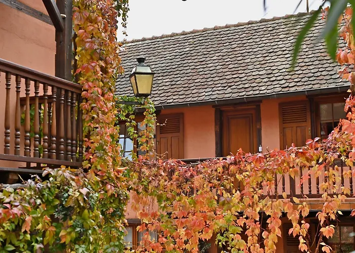 فندق De L'ange Niedermorschwihr